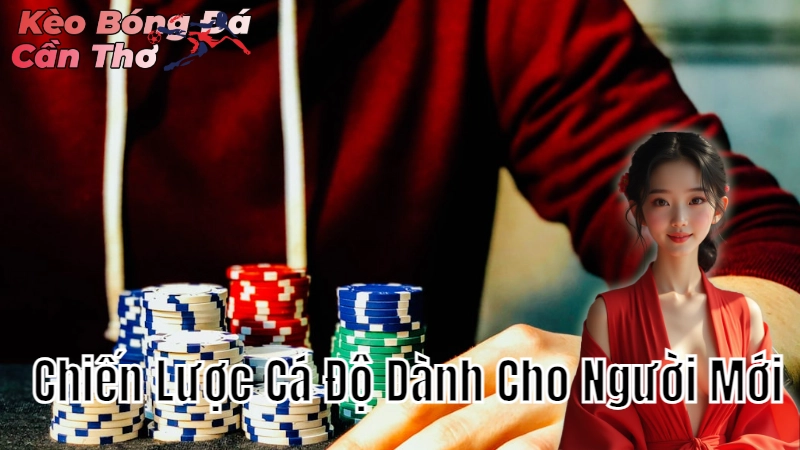 Chiến Lược Cá Độ Dành Cho Người Mới