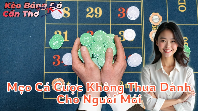 Mẹo Cá Cược Không Thua Dành Cho Người Mới